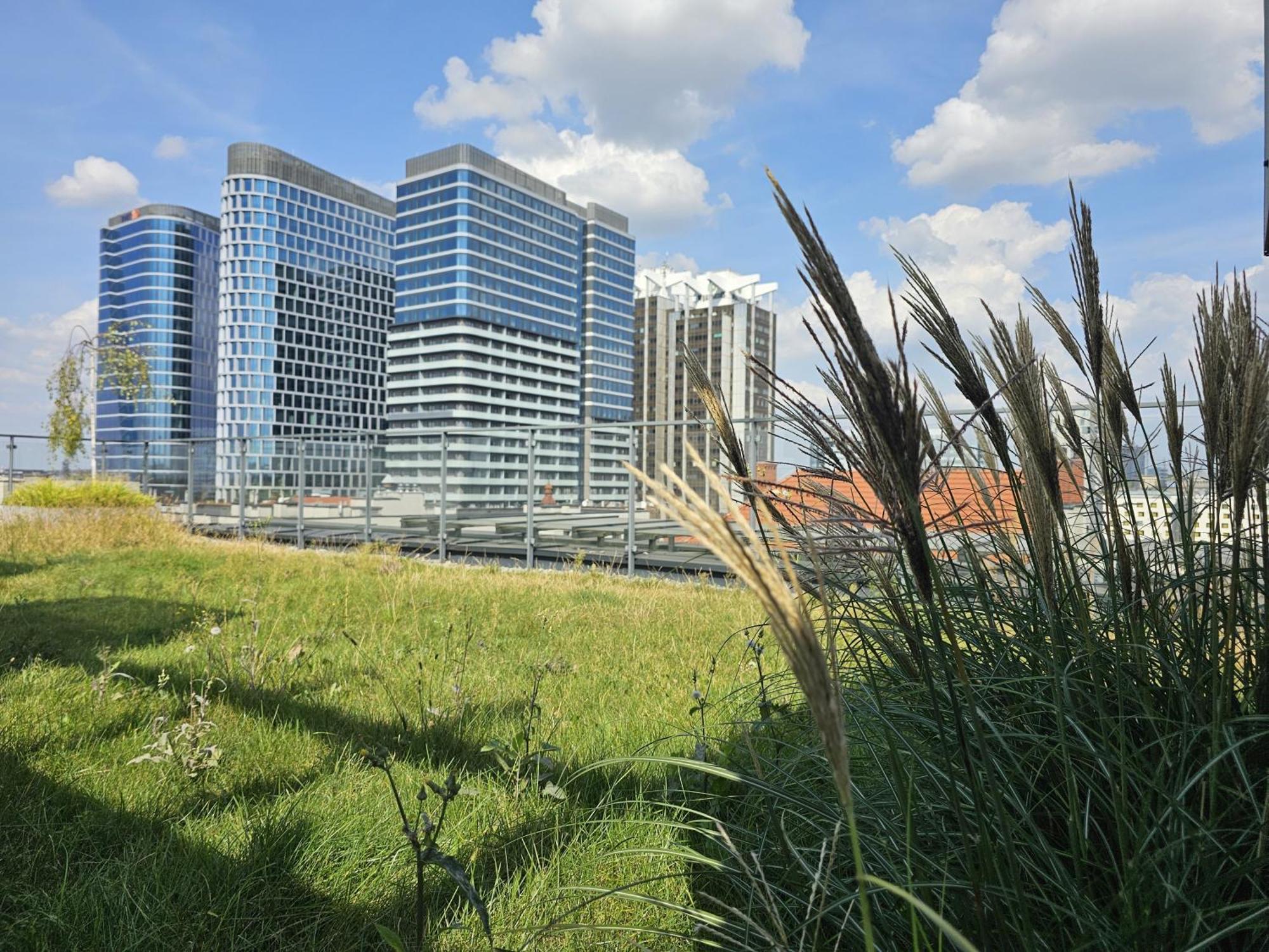 Urban Apartments Premium, Opolska 10 No 67B, Free Garage, Self Check-In كاتوفيتسه المظهر الخارجي الصورة
